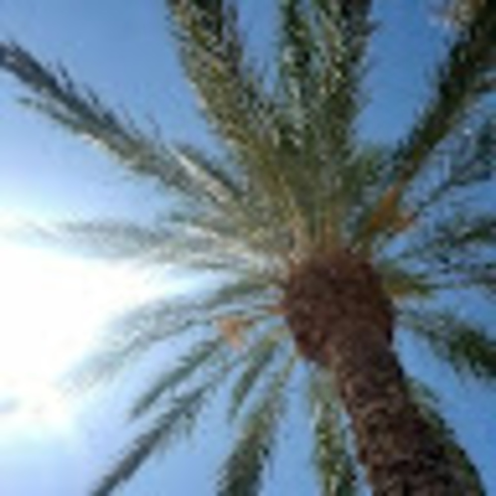 Meet your Posher, Laurie